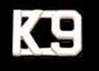 1/2&#34; K9 letters-