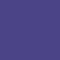African Violet (Pavah)