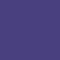 African Violet (Pavfs)