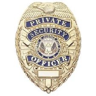 Buy Private Security Officer - Oval - Traditional - Gold - Hero's Pride ...