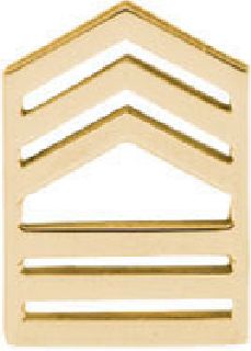 Pairs - Master Sgt - Dress/Gold-Hero&#8216;s Pride