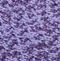 Purple-NM0002909