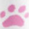 White with Pink Paws