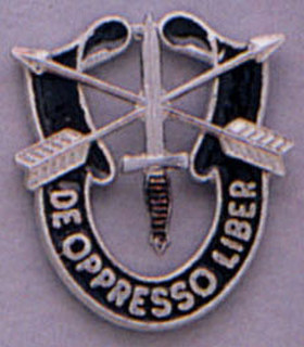 1541_Rothco Special Forces Crest Pin-