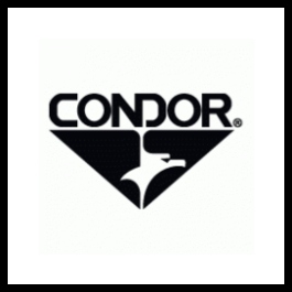 CONDOR2.jpg