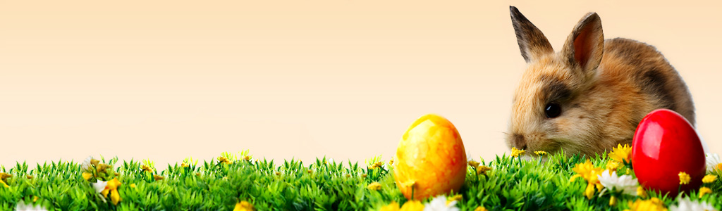 easter-bunny-and-colored-eggs-header.jpg