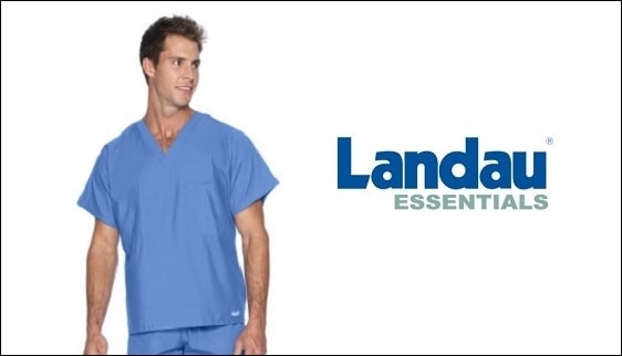 Landau-Essentials-Border1-min.jpg