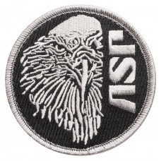 59110 ASP Eagle Silver Gray Patches (Hook & Loop)-ASP
