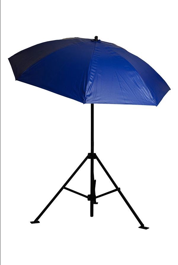 umbrella online price