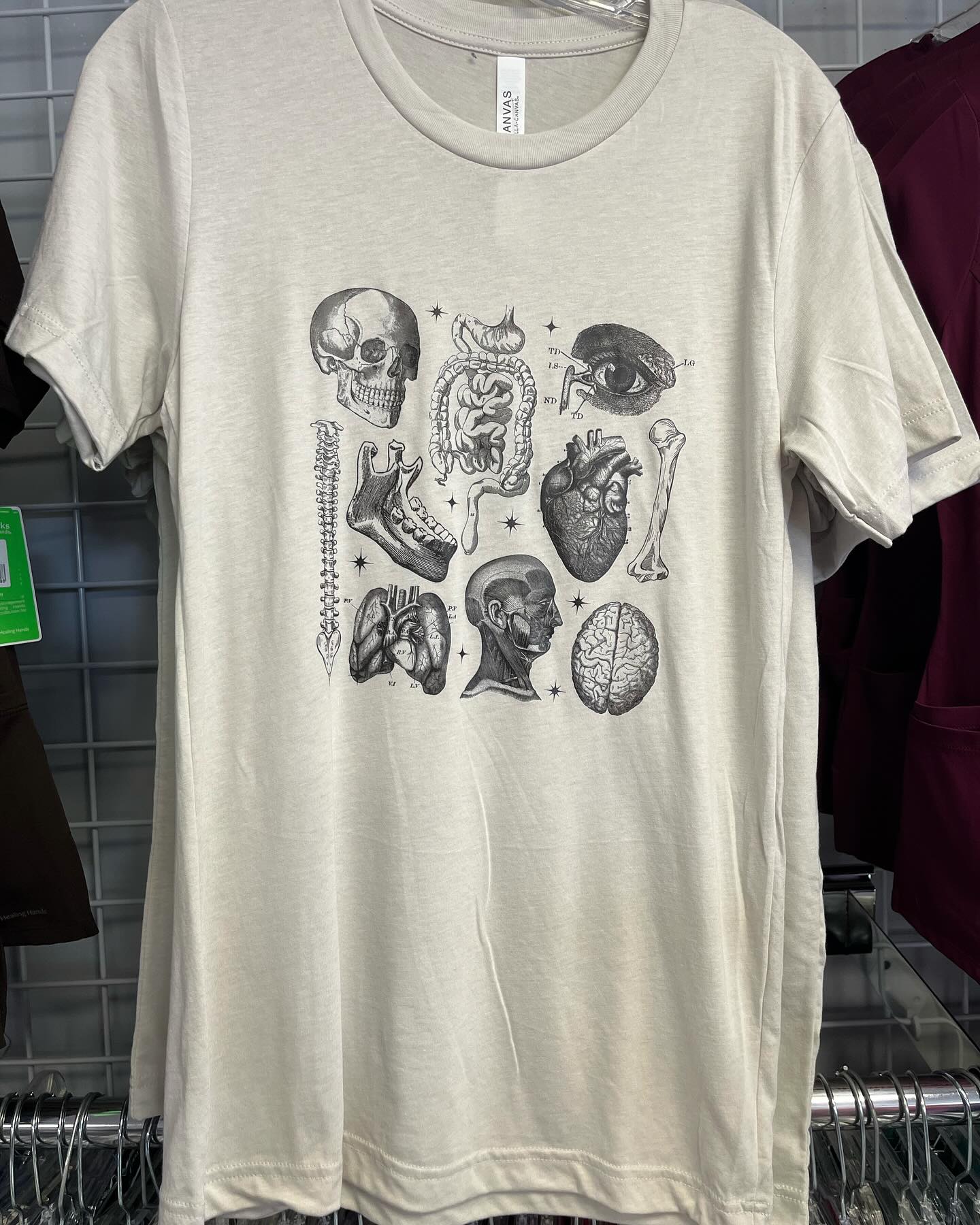 Anatomy Tshirt -The Scrub Hub