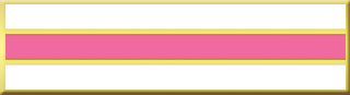 1 3/8&#34; X 3/8&#34; Thin Pink Line 3 Section Commendation Bar-Blackinton Insignia and Recognition
