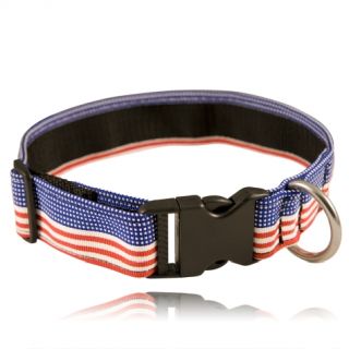 1.5 Nylon Canine Collar-Boston Leather