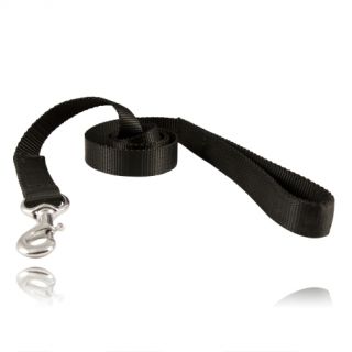 Agitation Lead 60&#34;-Boston Leather