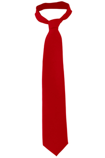 Edwards Solid Color Tie-