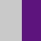 Silver With Purple Trim